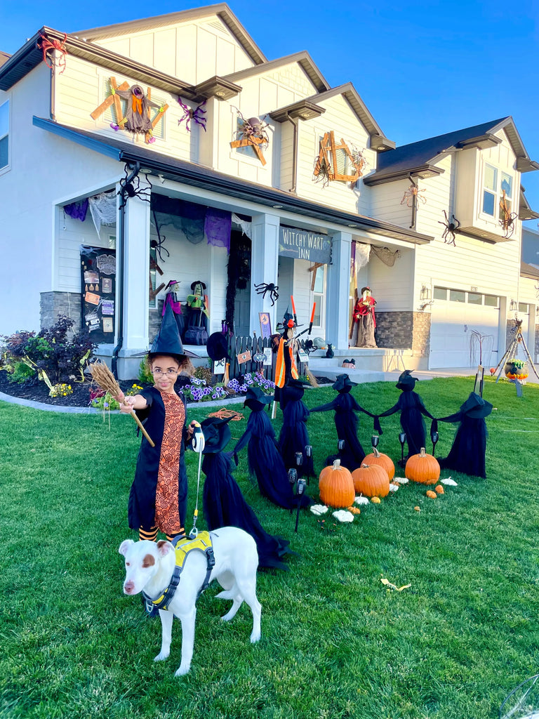 How to Protect Your Dog During Halloween FIDA Pet