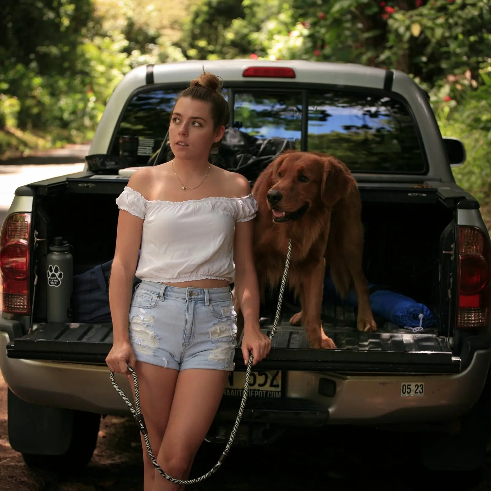 Understanding-Your-Dog-s-Body-Language-Tips-for-Safer-and-Happier-Walks FIDA Pet