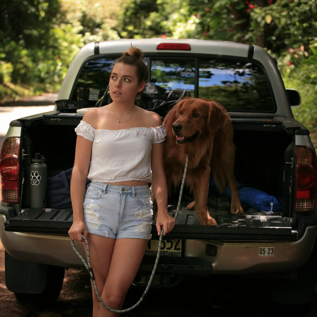 Understanding-Your-Dog-s-Body-Language-Tips-for-Safer-and-Happier-Walks FIDA Pet