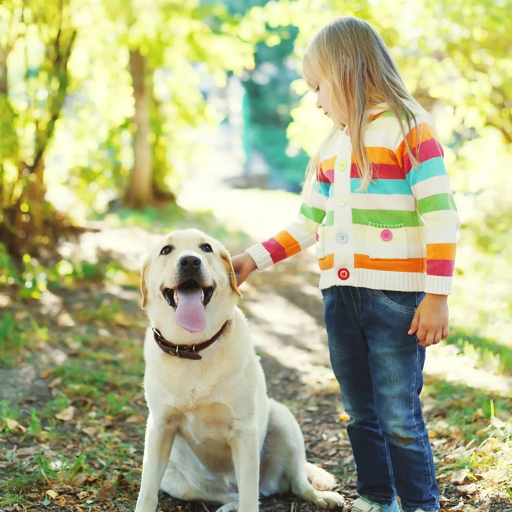Kids-and-Dog-Walks-Teaching-Safe-Leash-Habits-to-Children FIDA Pet
