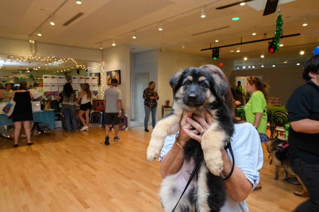 FIDA Supports Big Cypress German Shepherd Rescue's 4th Annual Raise The Woof Fundraiser