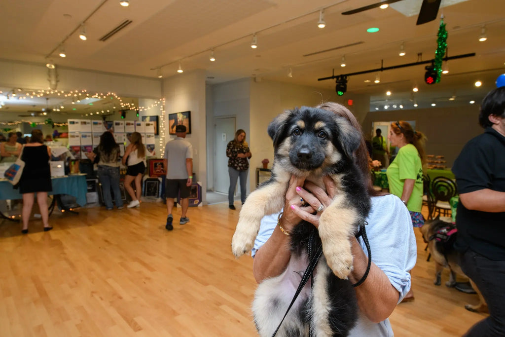 FIDA-Supports-Big-Cypress-German-Shepherd-Rescue-s-4th-Annual-Raise-The-Woof-Fundraiser FIDA Pet