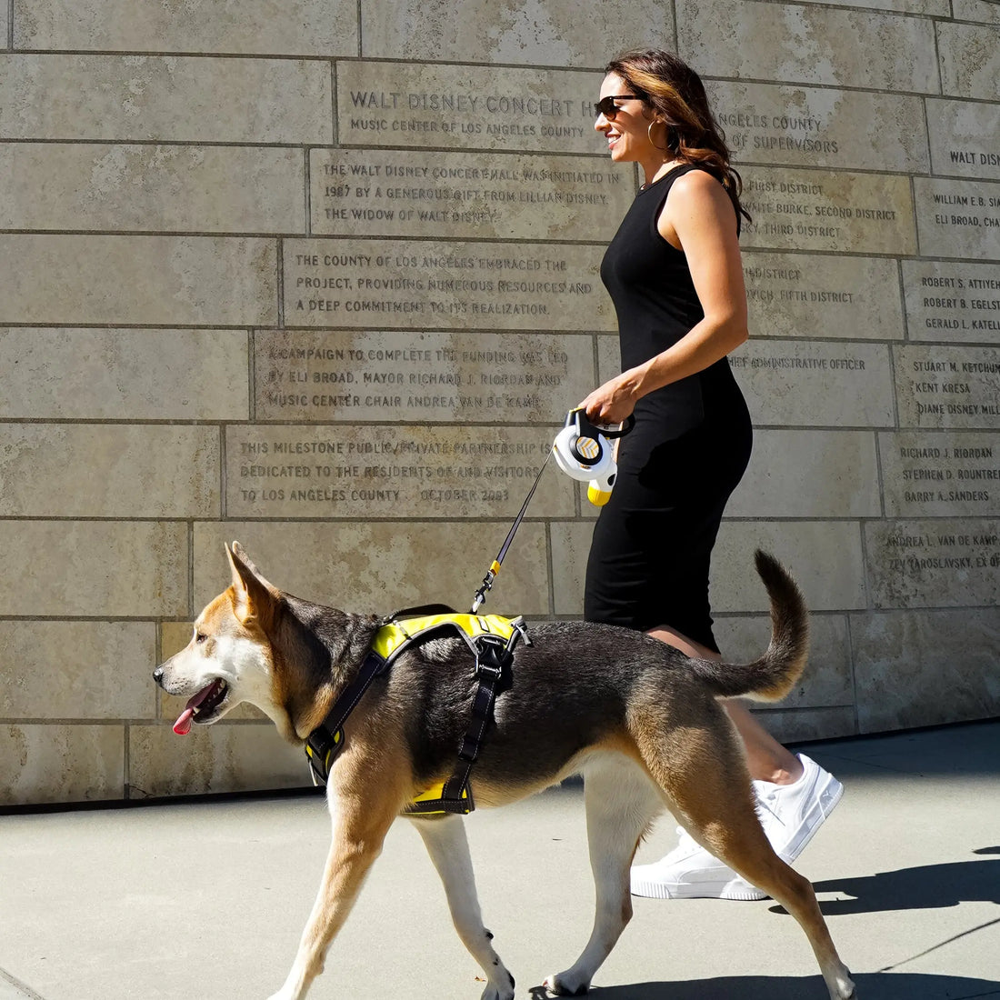 Matching the Right Leash Length to Your Dog’s Size and Temperament