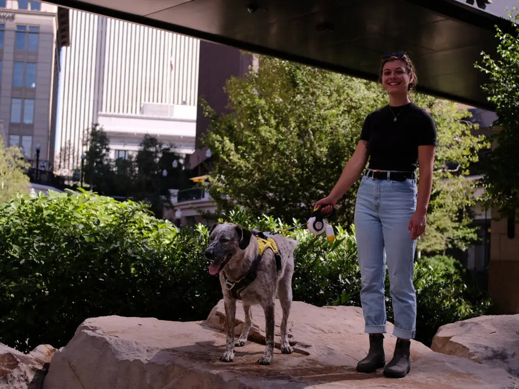 Dog-Walking-A-Better-Workout-Than-You-Think FIDA Pet