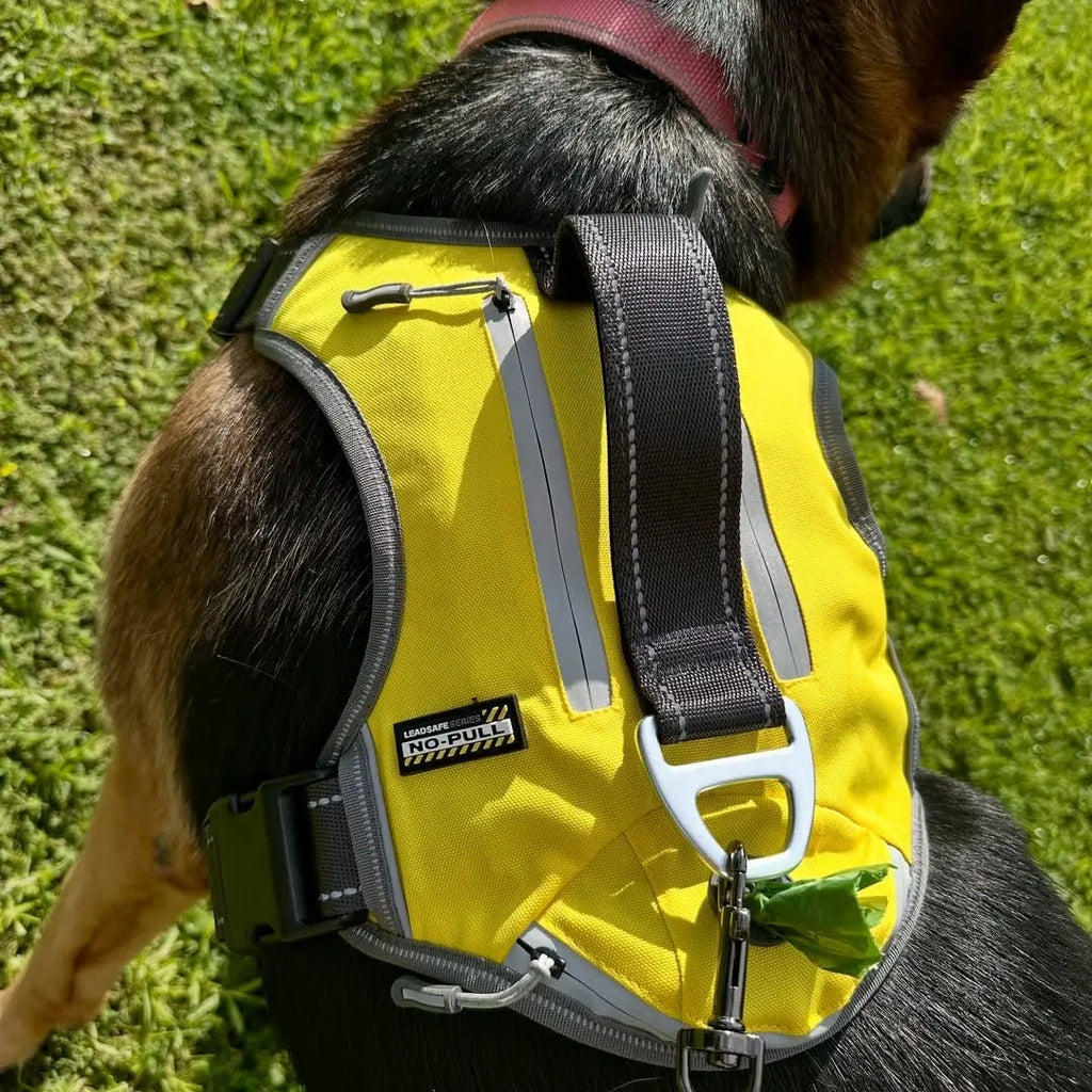 Immediate De-Escalation Techniques for Reactive Dogs on Walks