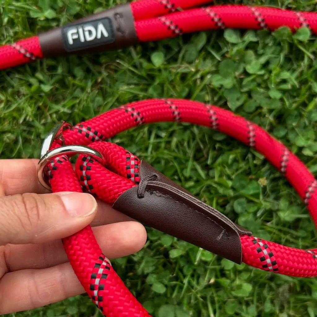 Leash Safety Check: Inspecting Gear Before Every Walk