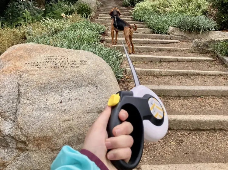 Better-Walks-Ahead FIDA Pet