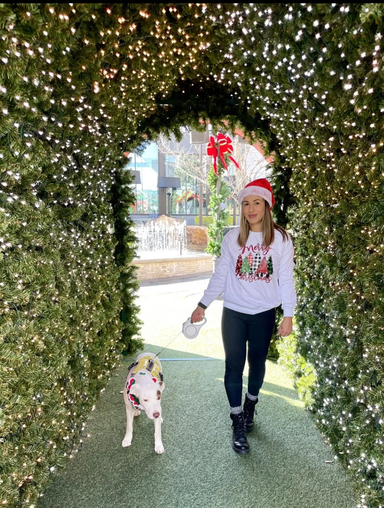 Top-Christmas-Gifts-for-Dogs-That-Strengthen-Your-Bond-and-Make-Memories FIDA Pet