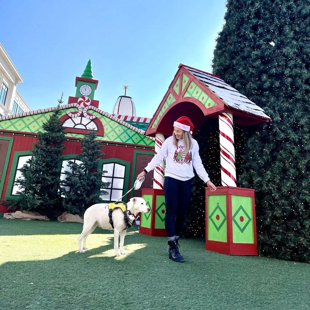 Top 10 Christmas Gifts Every Dog Owner Will Actually Use