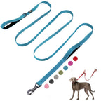 FIDA Heavy Duty dog leash 10 ft in blue