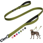 FIDA Heavy Duty dog leash in green
