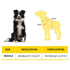 FIDA No Pull Harness