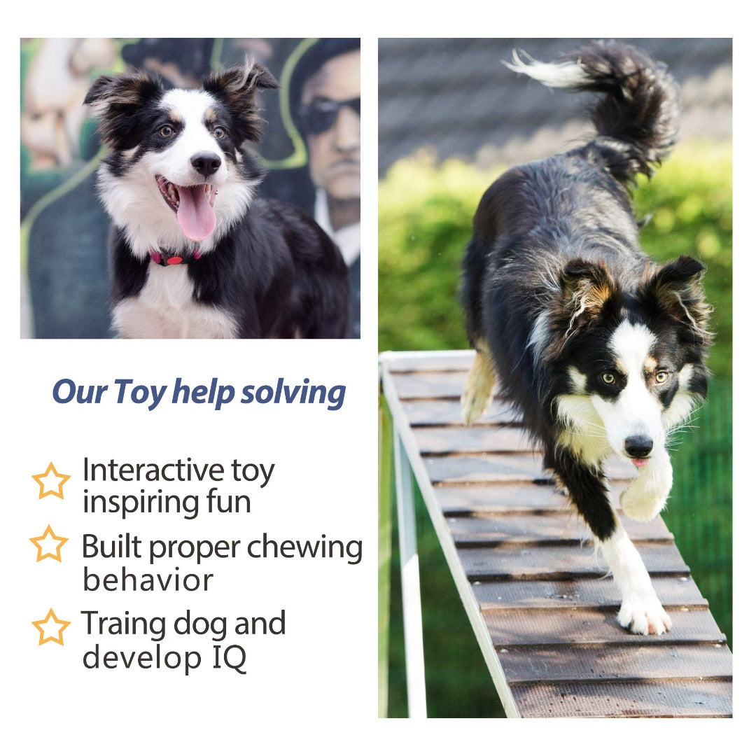 Fida Cotton Rope Dog Toys – 4 Pack