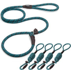 Fida Durable Slip Lead Dog Leash