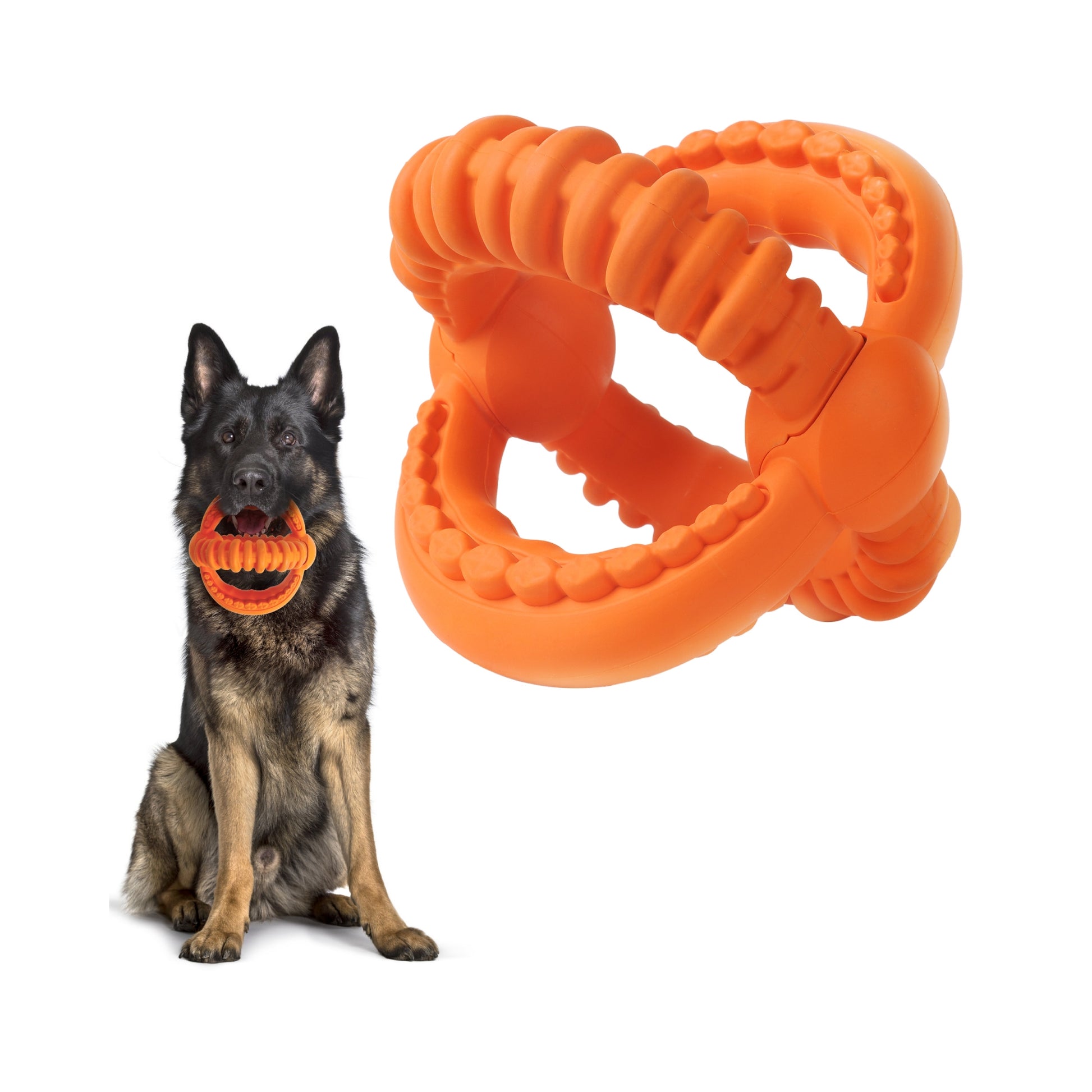 FIDA Dog Chew Toys