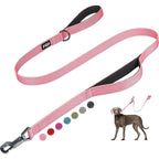 FIDA Heavy Duty dog leash in pink