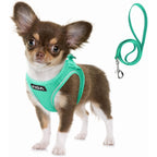 FIDA Comfy Pet Harness & Leash Set