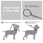Fida Slip Lead Dog Leash 5 Pack Dog Training Leash