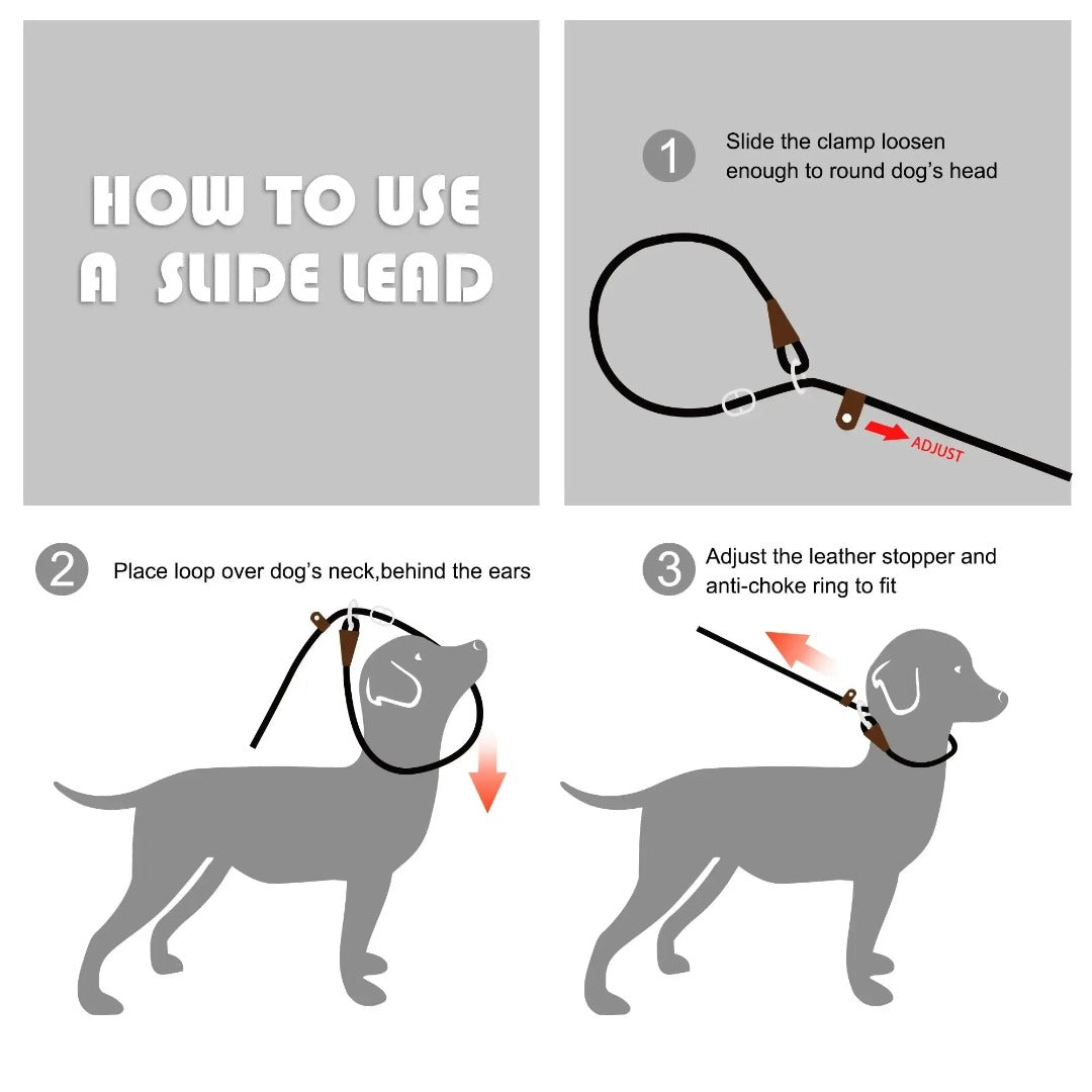 Fida Slip Lead Dog Leash 5 Pack Dog Training Leash