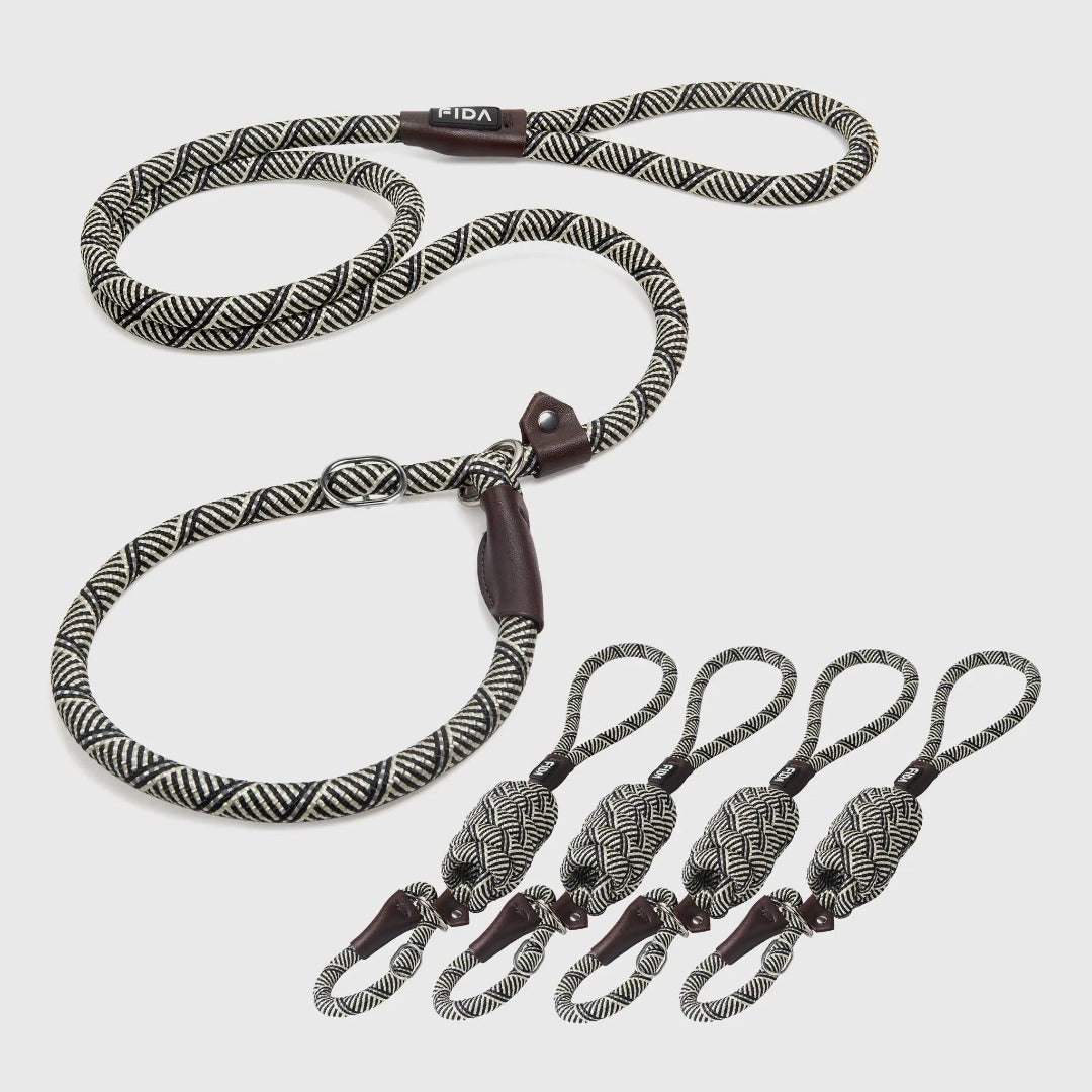 Fida Slip Lead Dog Leash 5 Pack Dog Training Leash