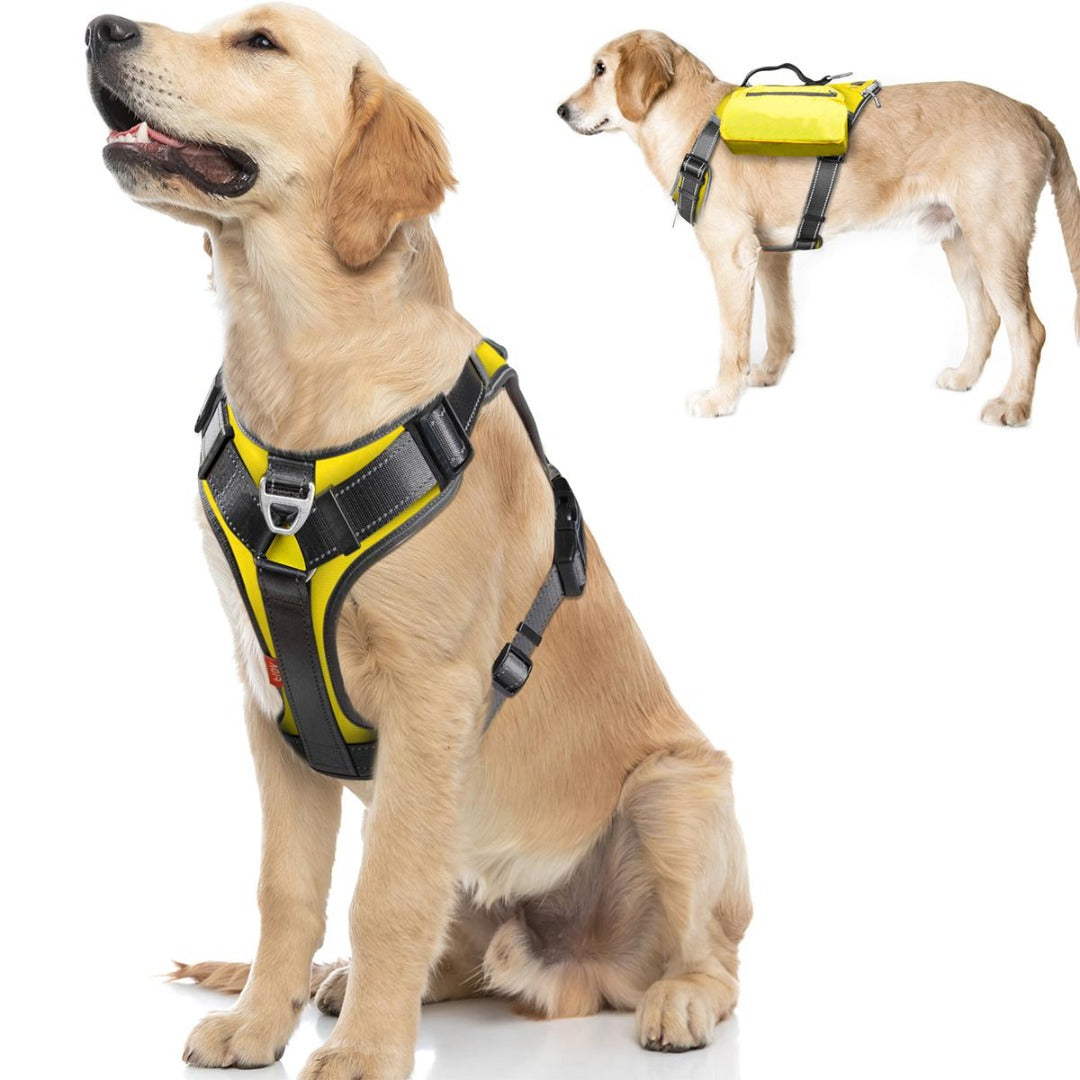 FIDA No Pull Harness