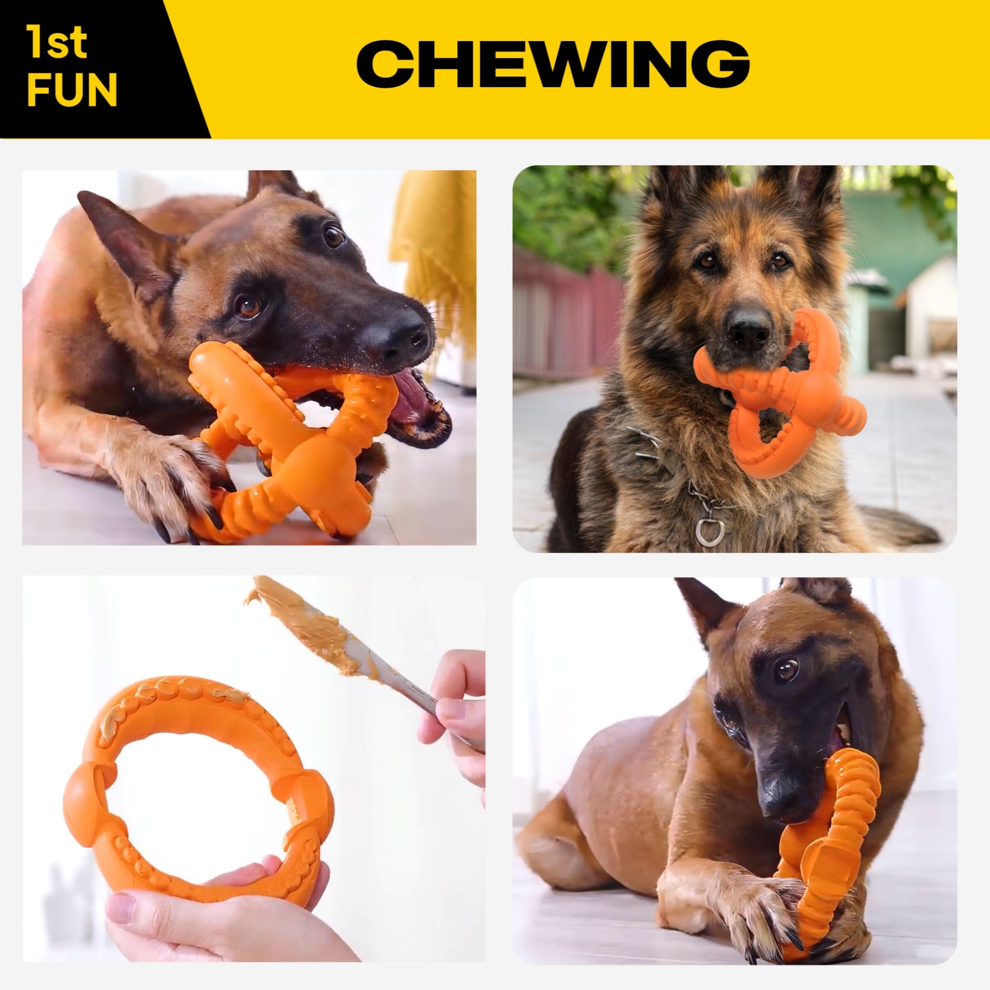 FIDA Dog Chew Toys