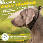 Fida Durable Slip Lead Dog Leash