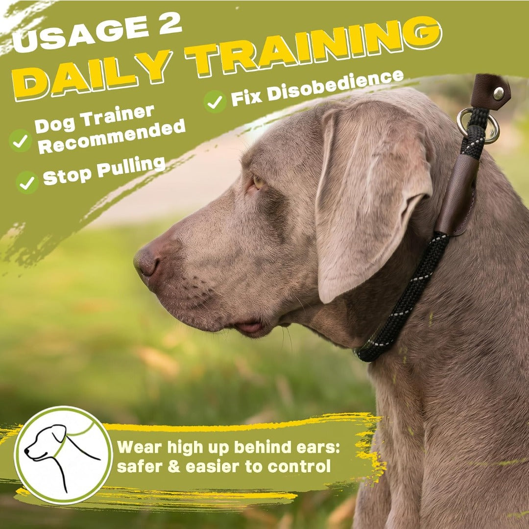 Fida Durable Slip Lead Dog Leash