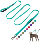 FIDA Heavy Duty dog leash 10 ft in teal