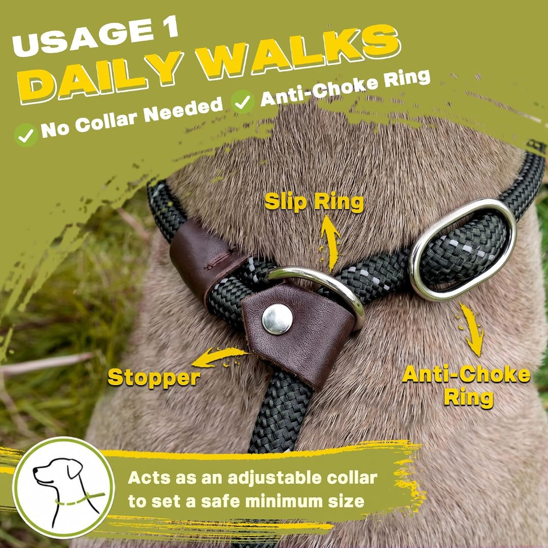 Fida Durable Slip Lead Dog Leash