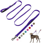 FIDA Heavy Duty dog leash 10 ft in purple