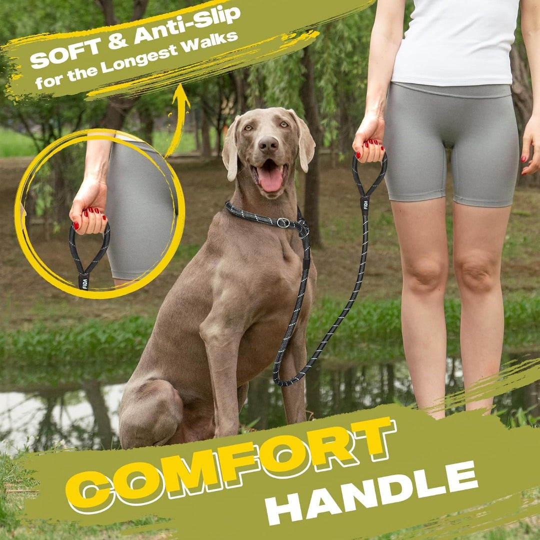 Fida Durable Slip Lead Dog Leash