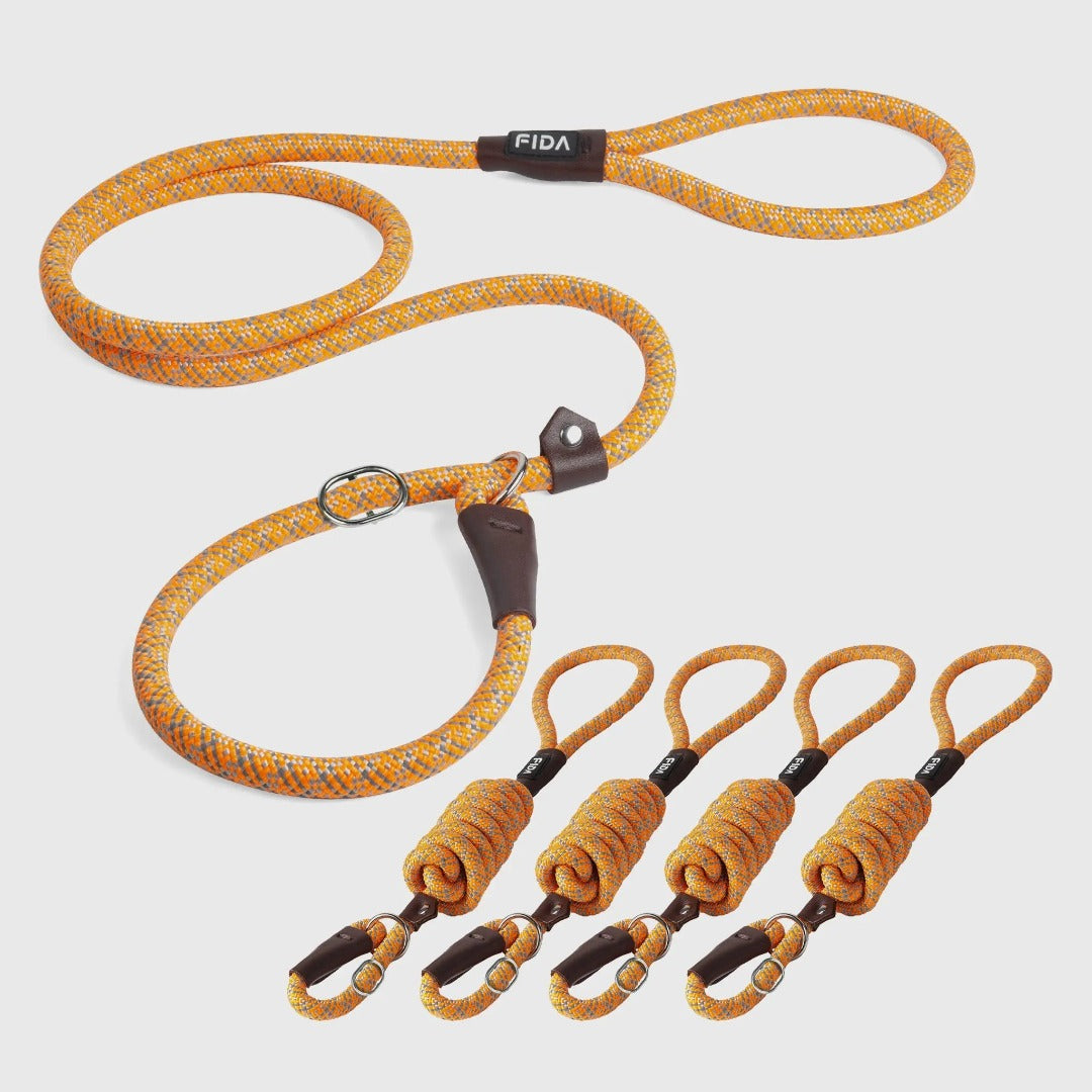 Fida Slip Lead Dog Leash 5 Pack Dog Training Leash