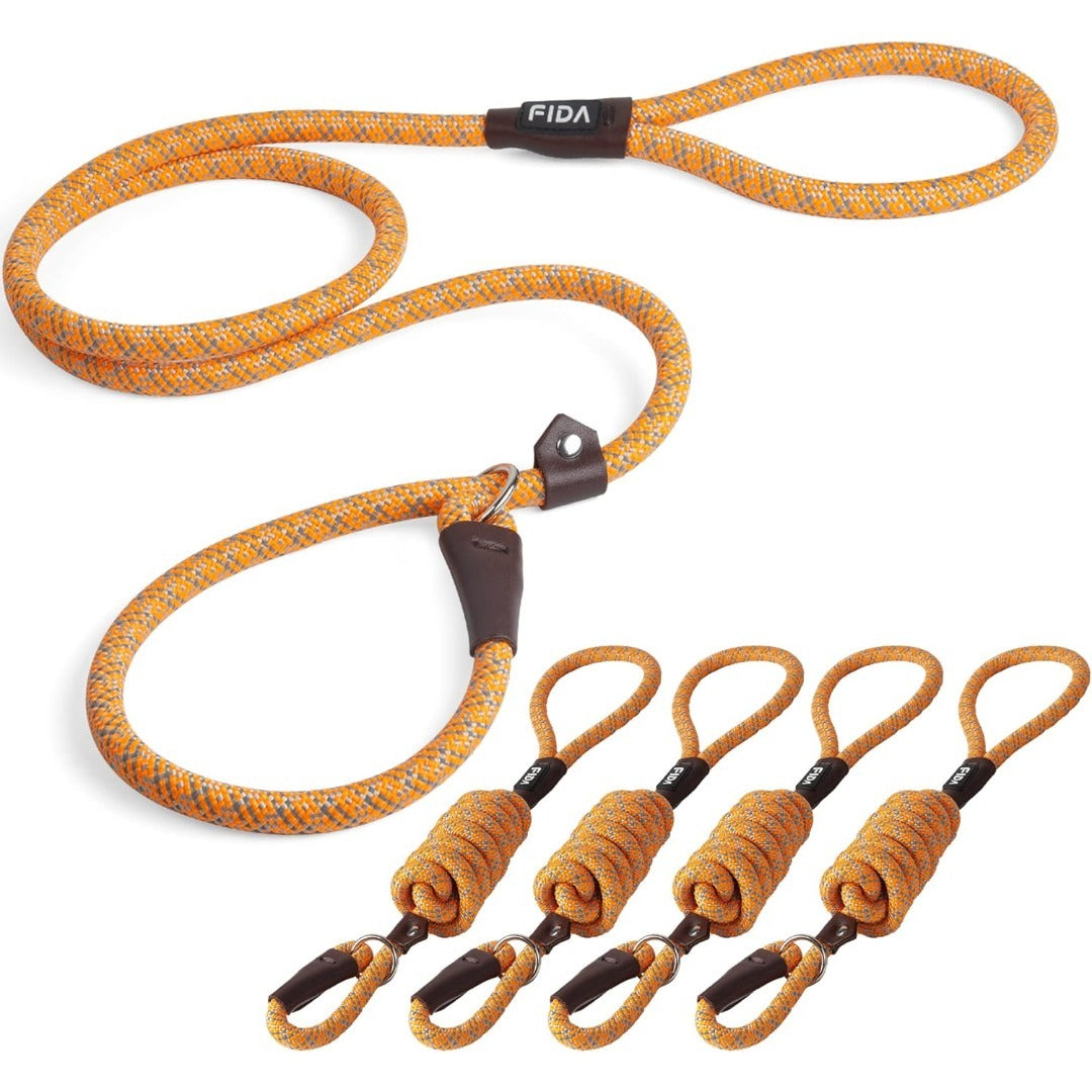Fida Durable Slip Lead Dog Leash