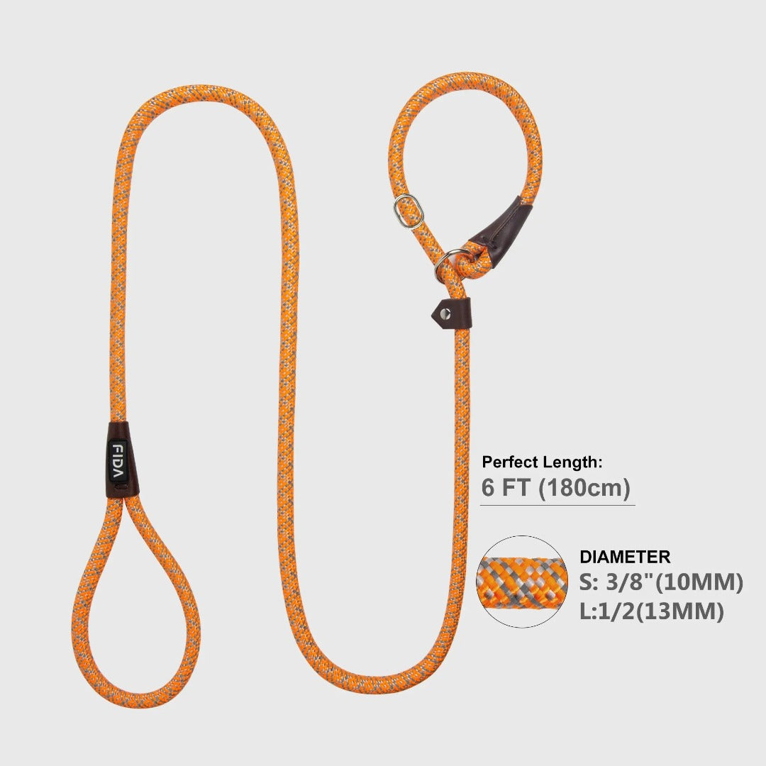 Fida Durable Slip Lead Dog Leash