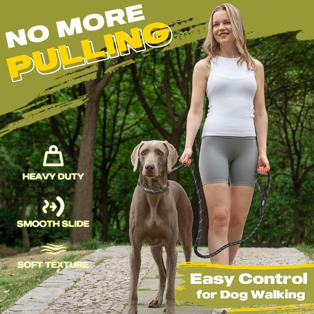 Fida Durable Slip Lead Dog Leash