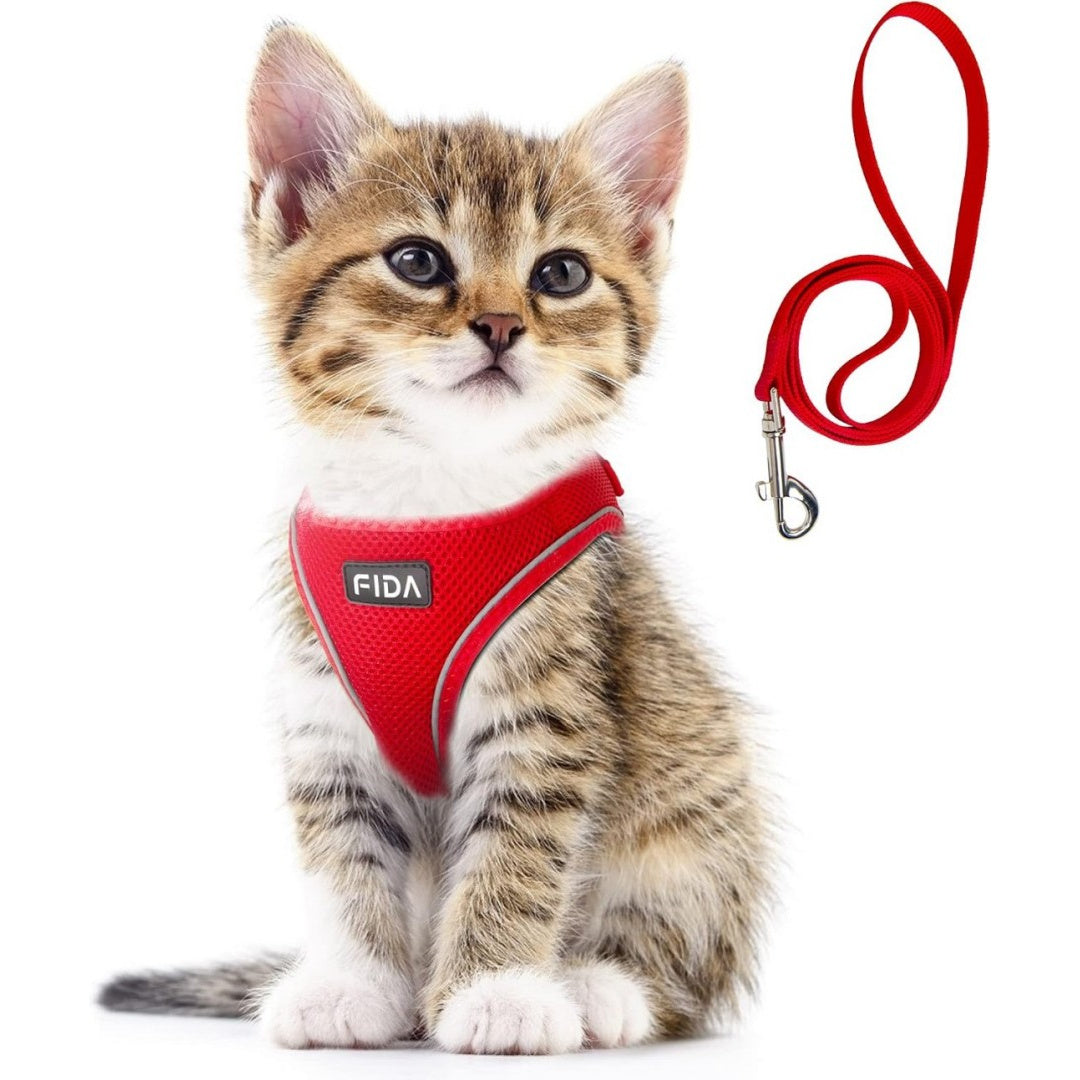 FIDA Comfy Pet Harness & Leash Set