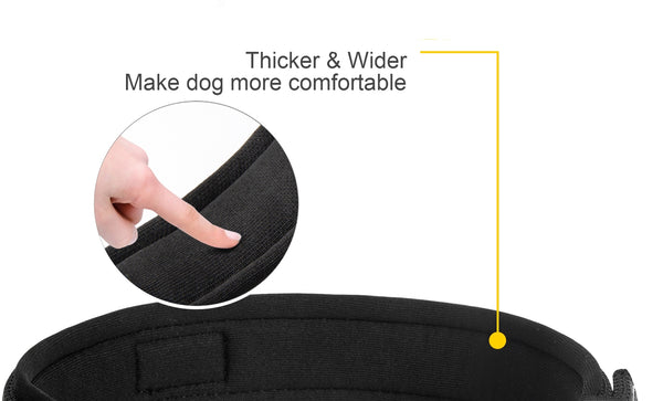 Dual‑Layer Neoprene Padding
