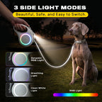 FIDA LED Lighted Retractable Dog Leash