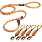Fida Durable Slip Lead Dog Leash