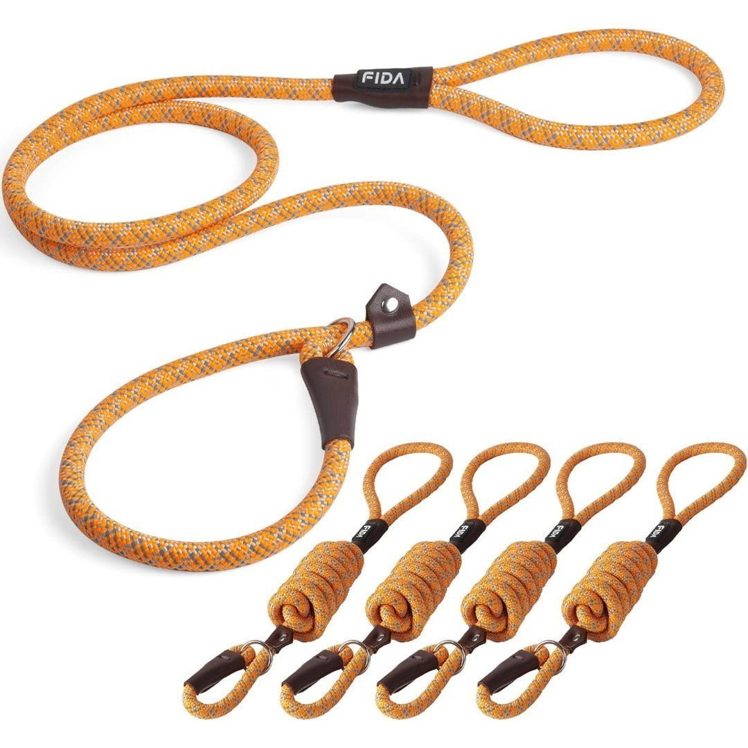 Fida Durable Slip Lead Dog Leash