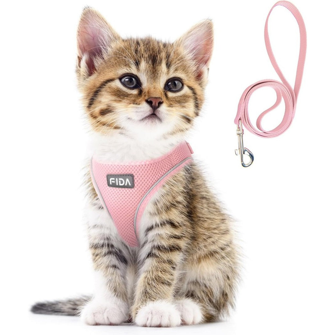 FIDA Comfy Pet Harness & Leash Set