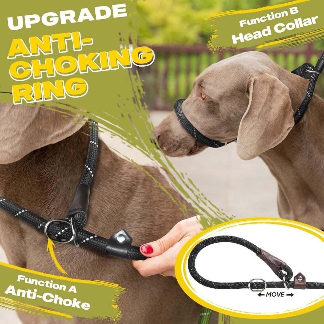 Fida Durable Slip Lead Dog Leash