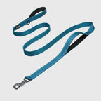 FIDA Heavy Duty Dog Leash
