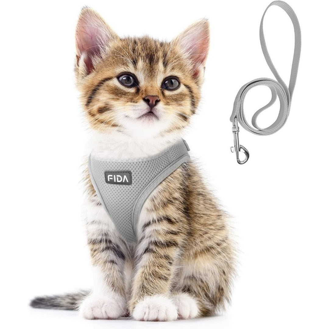 FIDA Comfy Pet Harness & Leash Set
