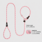 Fida Durable Slip Lead Dog Leash
