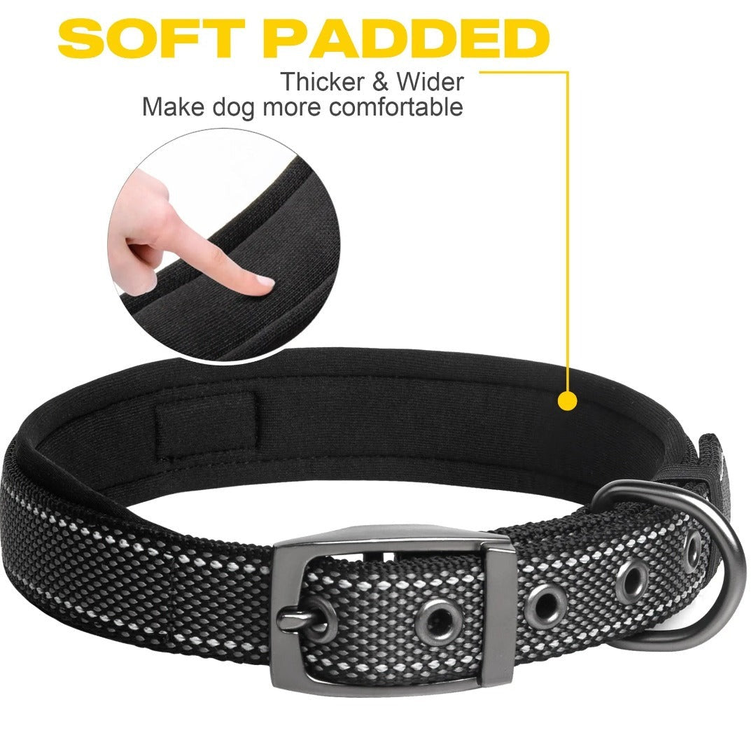 Fida Padded Dog Collar