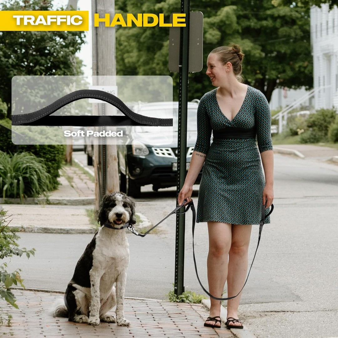 FIDA Heavy Duty Dog Leash