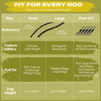 Fida Durable Slip Lead Dog Leash