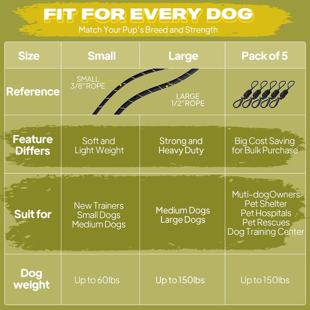 Fida Durable Slip Lead Dog Leash